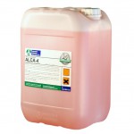 Alca-4_25