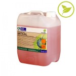 Antical_10-600x600
