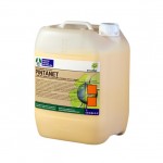 Pintanet_10